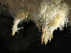 Excentriques in der Grotte Barbette