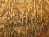 Beilstein010.jpg im Album Beilsteinhöhle