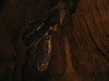 Brunnenstein008.JPG im Album Brunnenstein Höhle