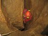 Goenningershoehle_007.jpg im Album Gönningershöhle