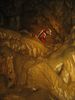Goenningershoehle_010.jpg im Album Gönningershöhle