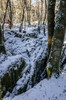 Wintertreffen_2017_Besain002.jpg im Album Wintertreffen 2017