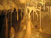 Brunni_5_2011_17.jpg im Album BrunnensteinhÃ¶hle bis Rohrpost