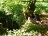 frz_jura_07_2013_039.jpg im Album franz. Jura, Sommer 2013