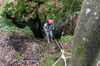 Fraenkischer_Jura_005.jpg im Album Fränkischer Jura 2014