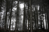 2016_01_frz_jura_028.jpg im Album französischer Jura 2016